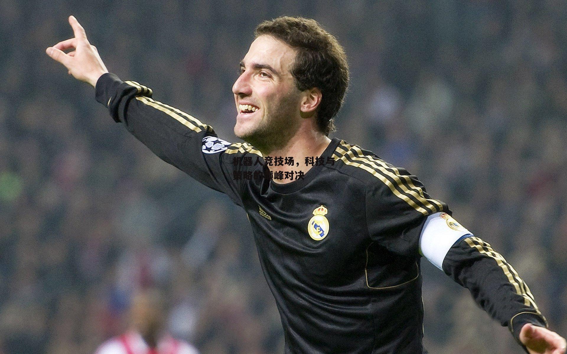 机器人竞技场，科技与策略的巅峰对决